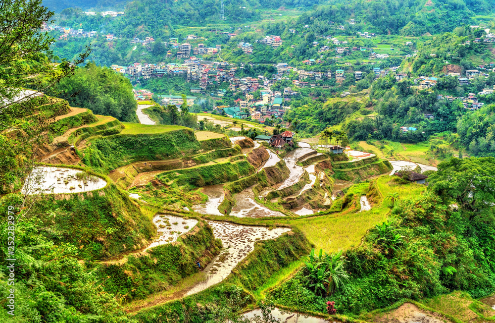 Banaue Rice Terraces - northern Luzon, UNESCO world heritage in Philippines.