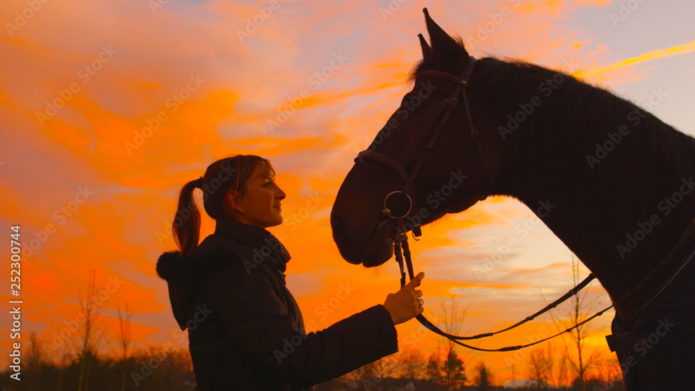 特写：日落时，微笑的高加索妇女看着她美丽的马。