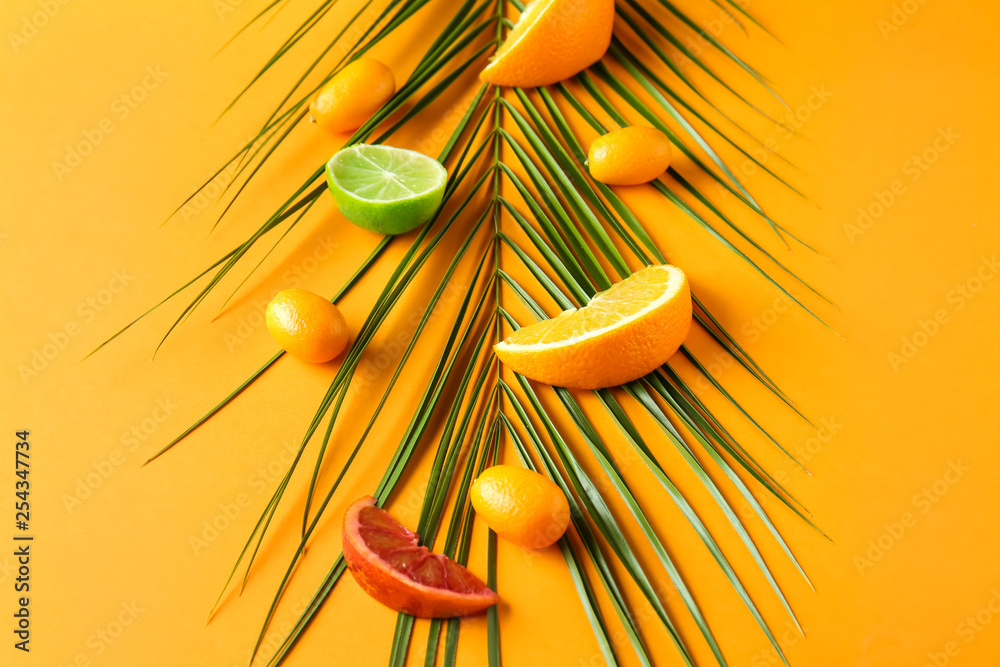 以热带树叶为背景的美味柑橘类水果系列