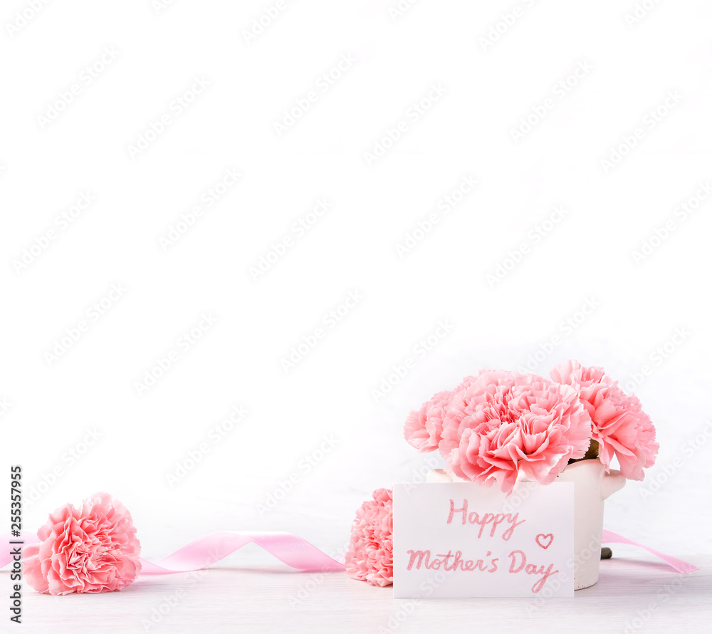 美丽绽放的婴儿粉色嫩康乃馨，放在一个白色花瓶里，背景明亮，五月末