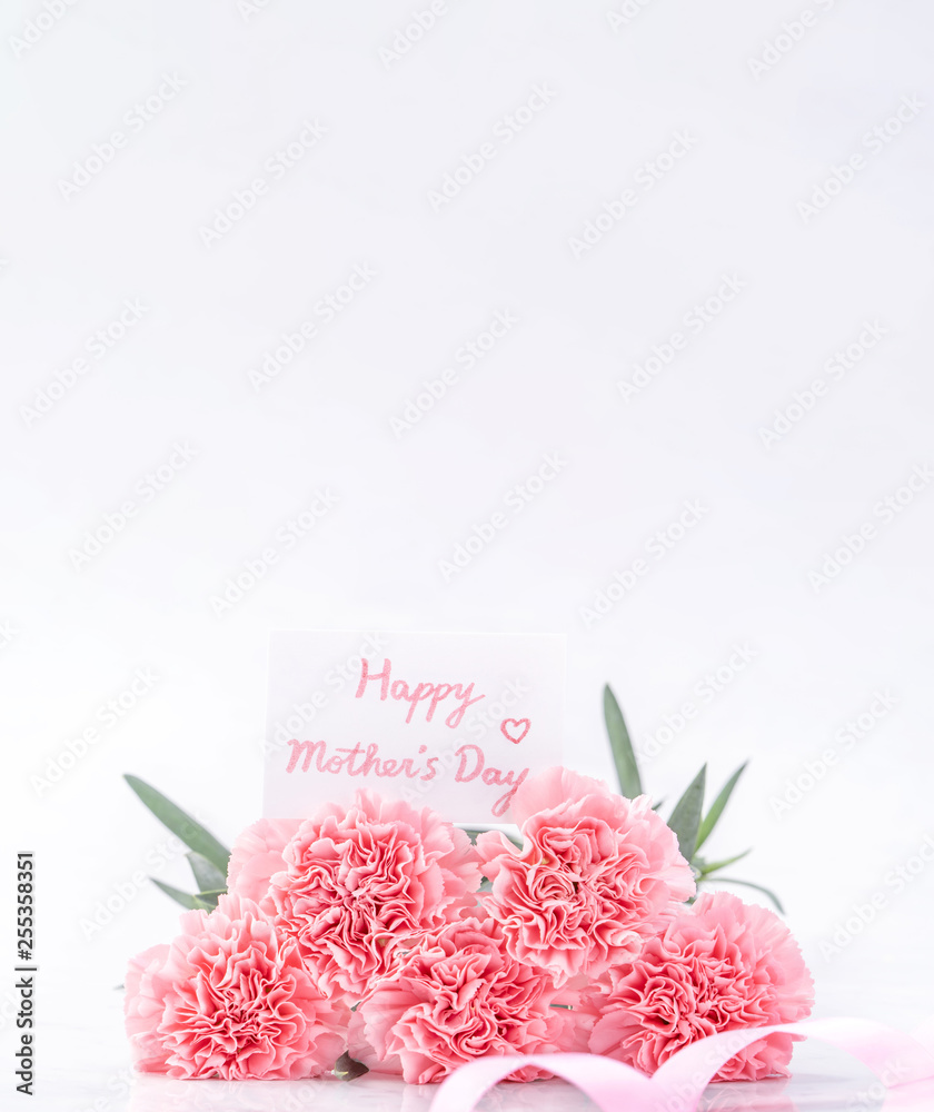优雅绽放的俯视图甜粉色嫩康乃馨隔离在明亮的白色背景上