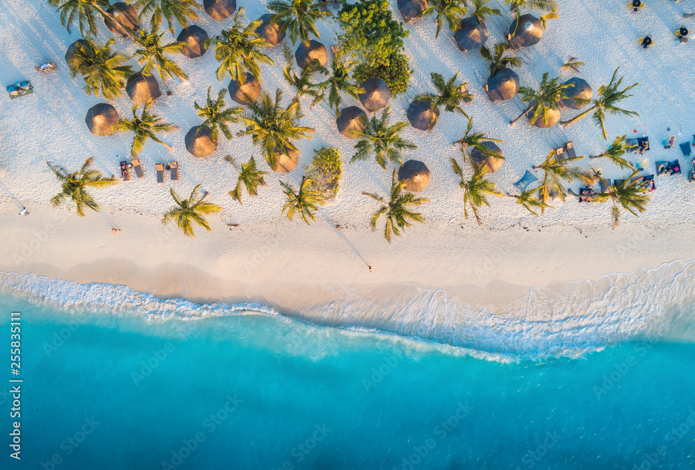 日落时印度洋沙滩上的雨伞和棕榈树鸟瞰图。赞兹的暑假