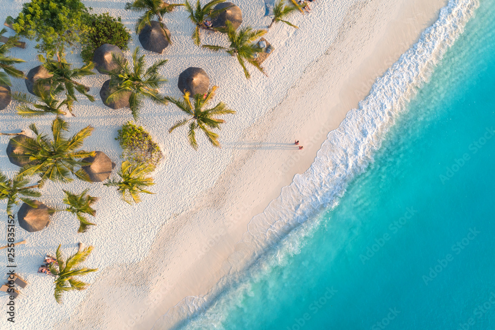 日落时印度洋沙滩上的雨伞和棕榈树鸟瞰图。赞兹的暑假