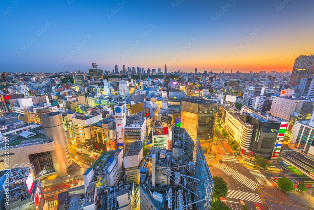 日本东京，涩谷区上空的城市天际线，远处是新宿区的天际线。