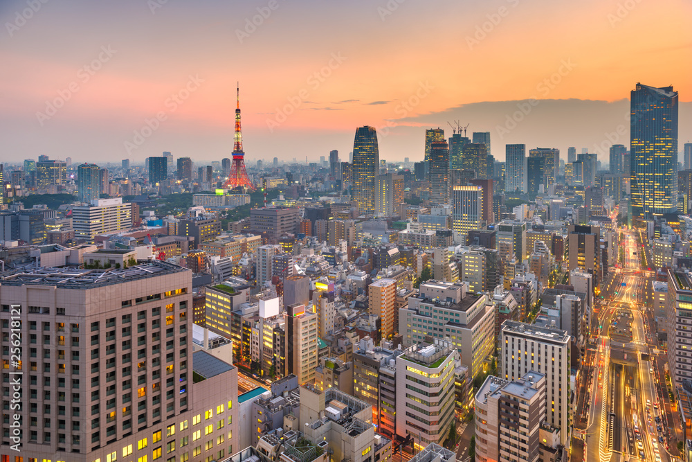 日落后的日本东京城市景观和塔楼。