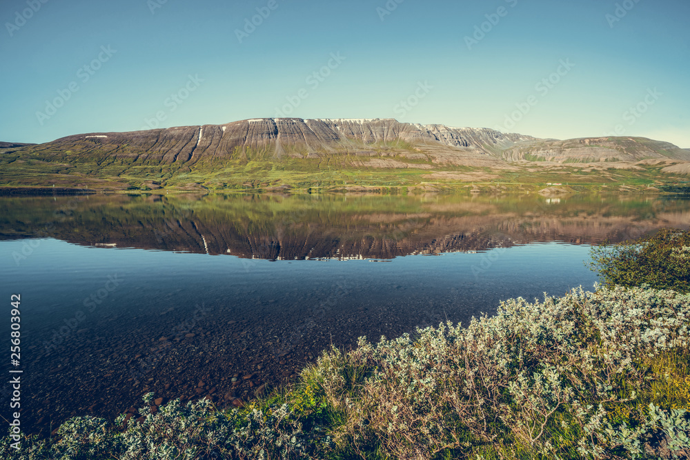 夏季，冰岛北部阿库雷里附近的Ljosavatn湖。