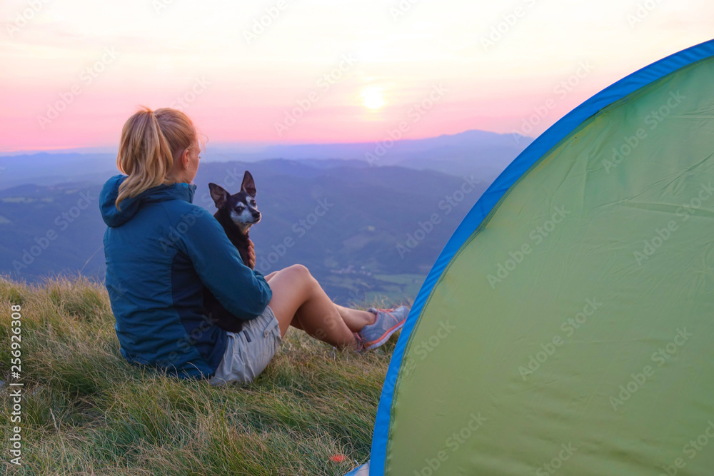 特写：日出时，一个无忧无虑的女人坐在帐篷旁抚摸着她的可爱小狗。