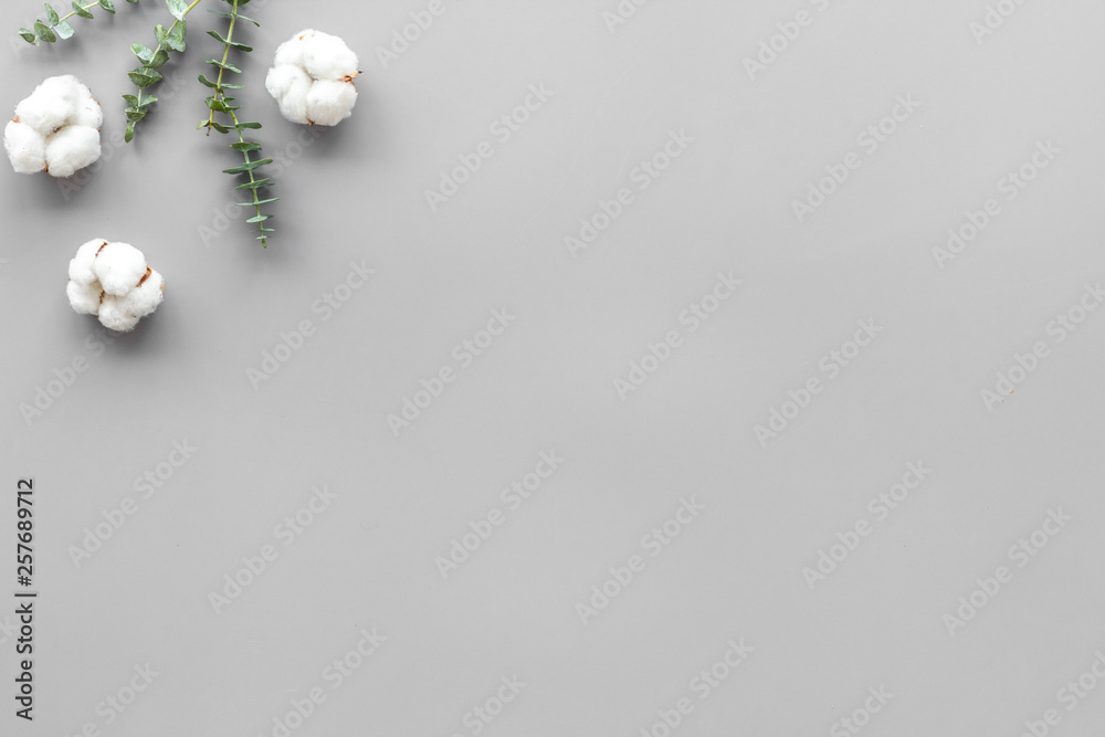 花朵和树叶布局。灰色背景下桉树树枝附近的棉花俯视图，平躺警察