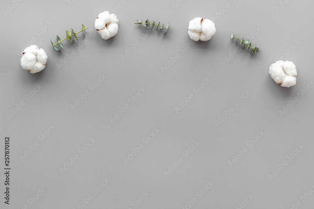 灰色背景上的花朵与绿色桉树树枝和干燥的棉花花朵接壤俯视图