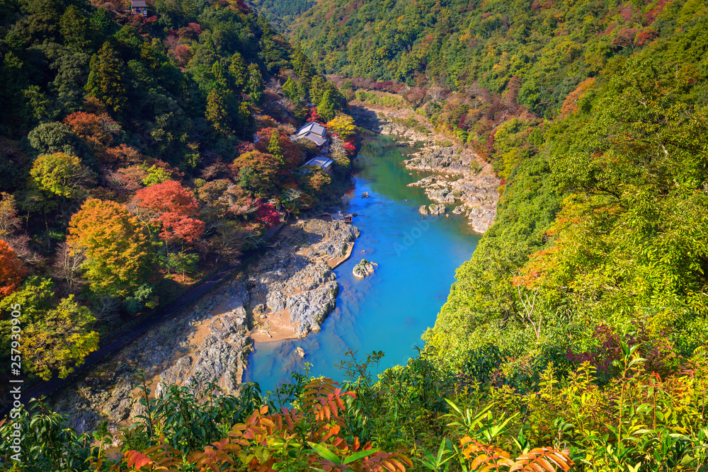 日本荒山视点和鹤津河的秋天