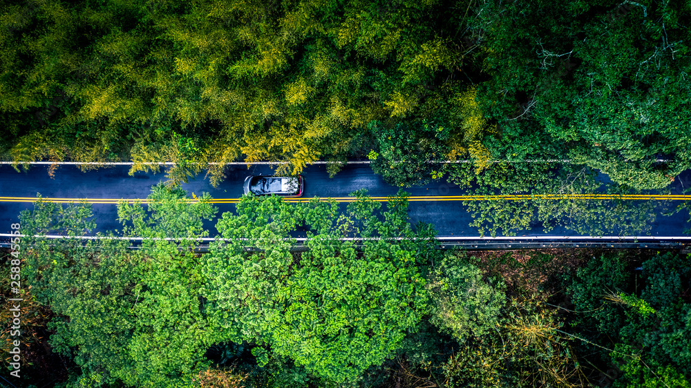 汽车在森林茂密的雨林中的乡村道路上，森林中的鸟瞰车。