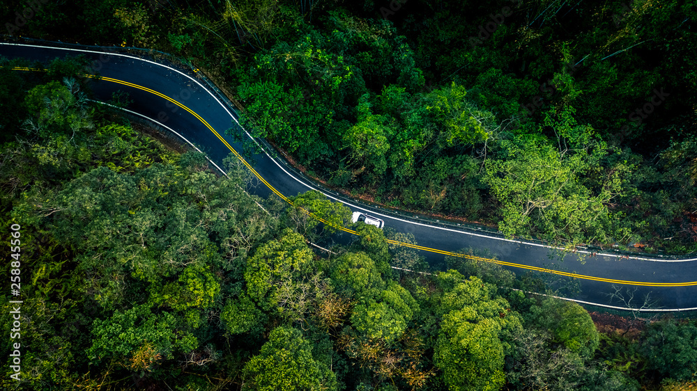 Car in rural asphalt road in deep rain forest with green tree forest, Aerial view car in the forest 