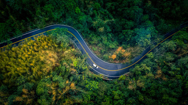 汽车在深雨林中的乡村道路上行驶，从上方可以看到绿树成荫的森林，鸟瞰车在空中