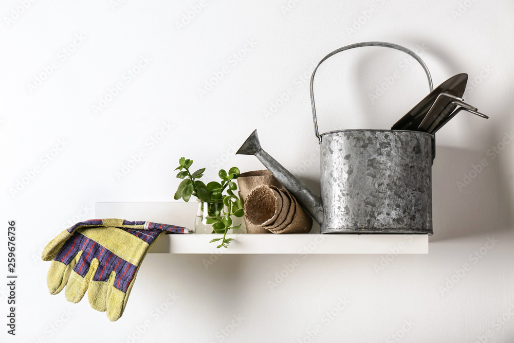 Green plant with pots and gardening tools on shelf
