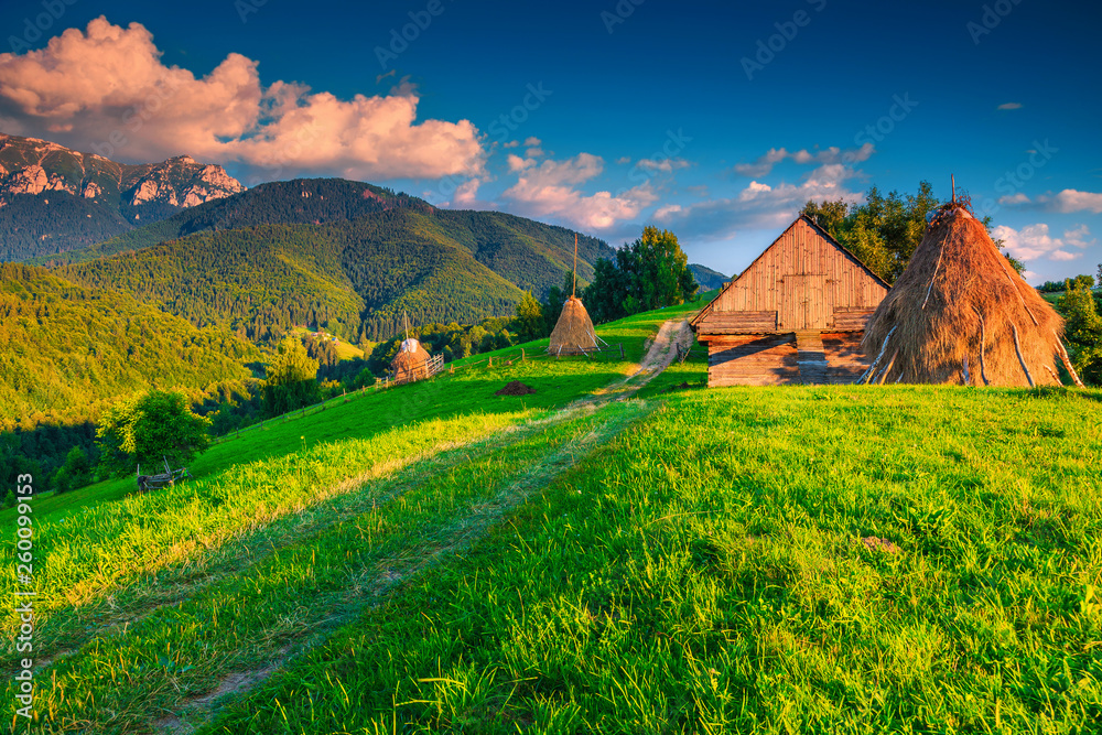 罗马尼亚特兰西瓦尼亚布拉索夫地区干草捆的夏季乡村景观