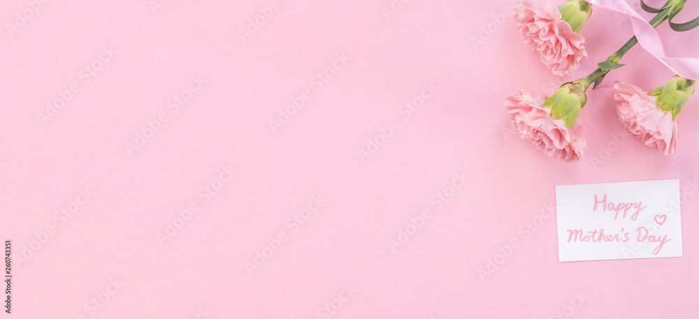 美丽的新鲜绽放的婴儿粉色嫩康乃馨，隔离在明亮的粉红色背景上，mothe