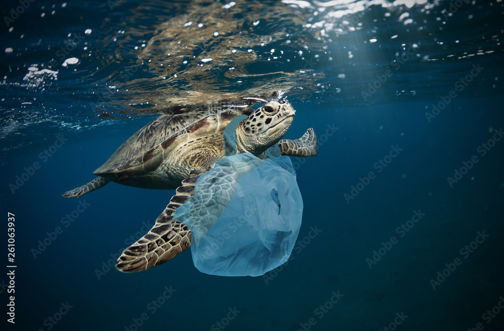 全球塑料垃圾水下问题