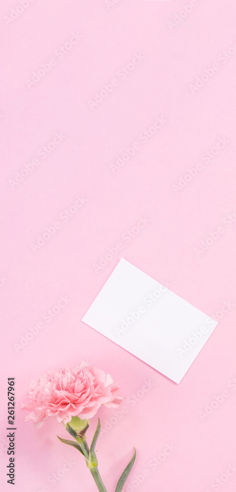 Top view, flat lay, mock up, copy space, handwritten greeting card template isolated with pale pink 