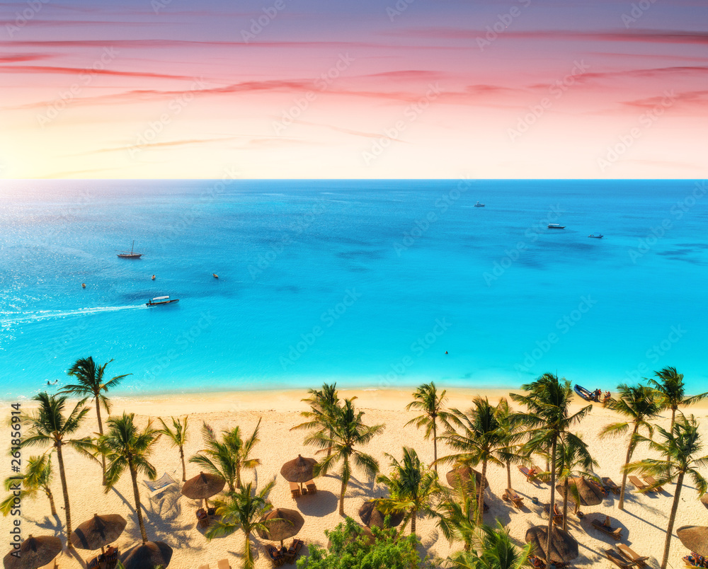 日落时印度洋沙滩上棕榈树的鸟瞰图。非洲桑给巴尔的暑假