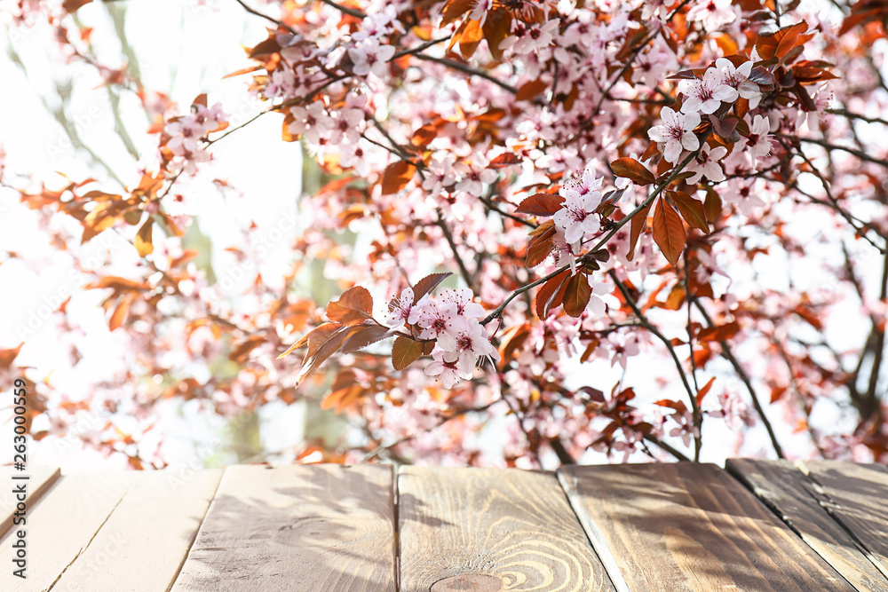 美丽的开花树枝和户外木桌