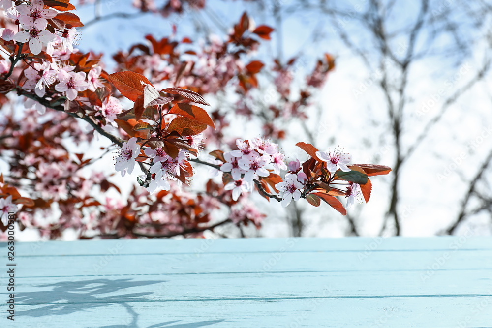 美丽的开花树枝和户外木桌
