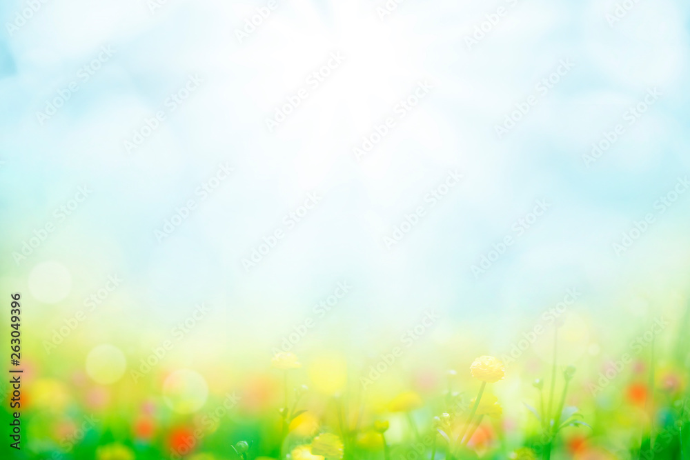 阳光明媚的蓝天上绿草如茵的抽象背景
