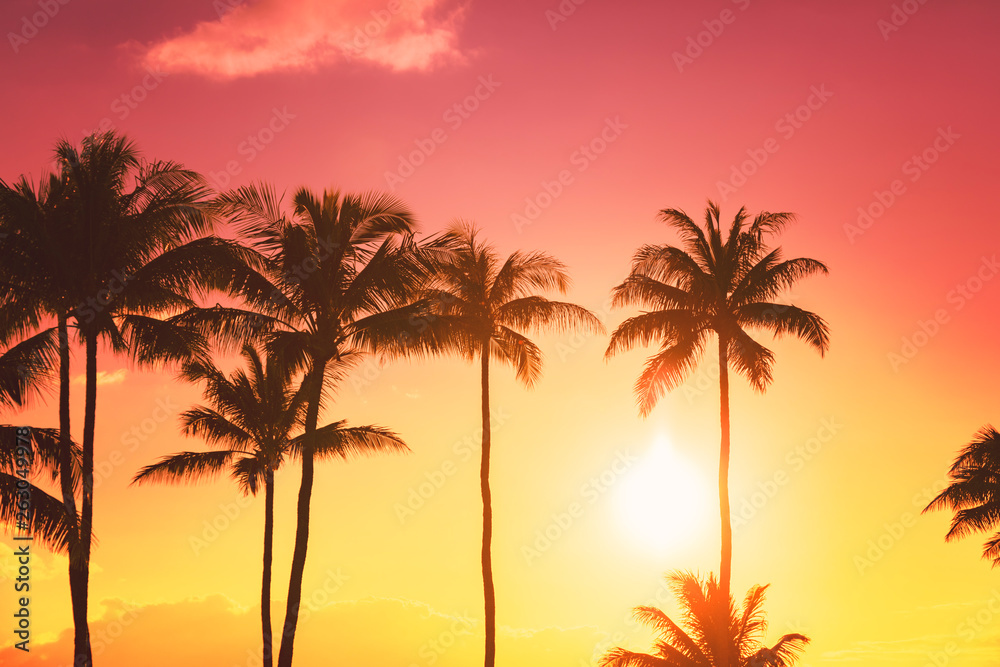 热带日落背景下的棕榈树剪影
