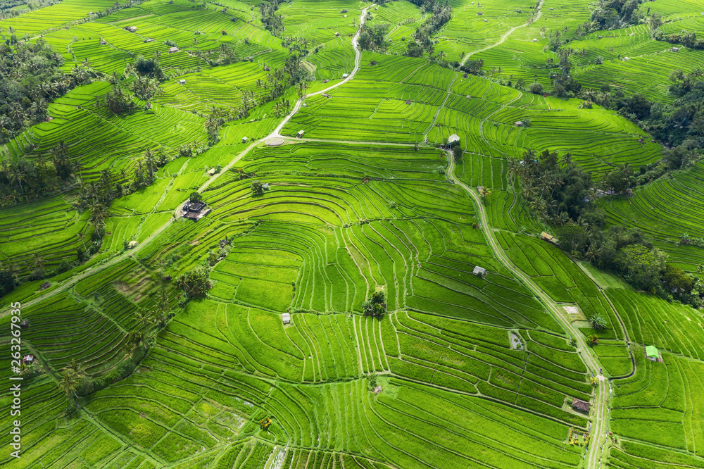 Aerial view of rice terraces. Landscape with drone. Agricultural landscape from the air. Rice terrac