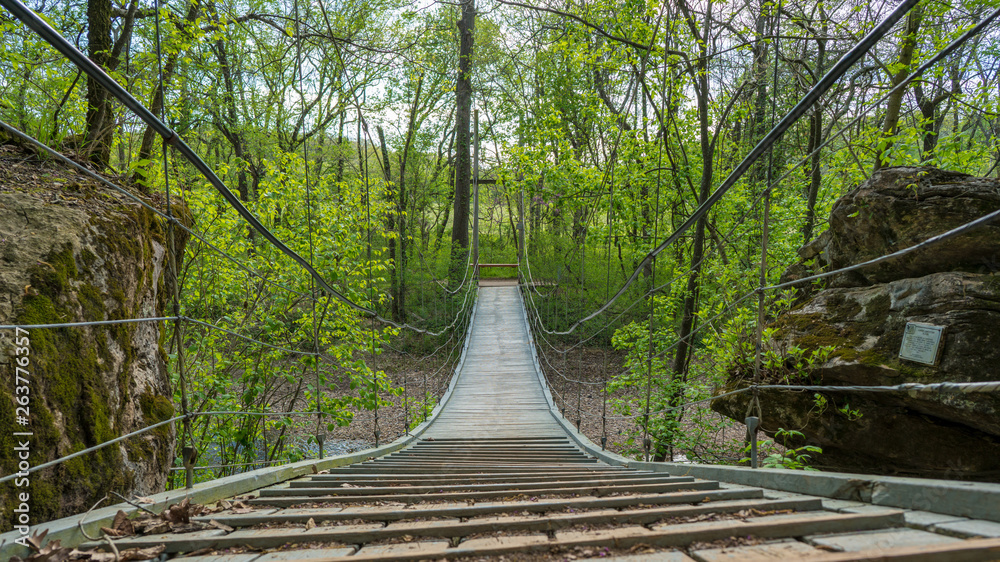 Tanyard Creek自然步道悬索桥