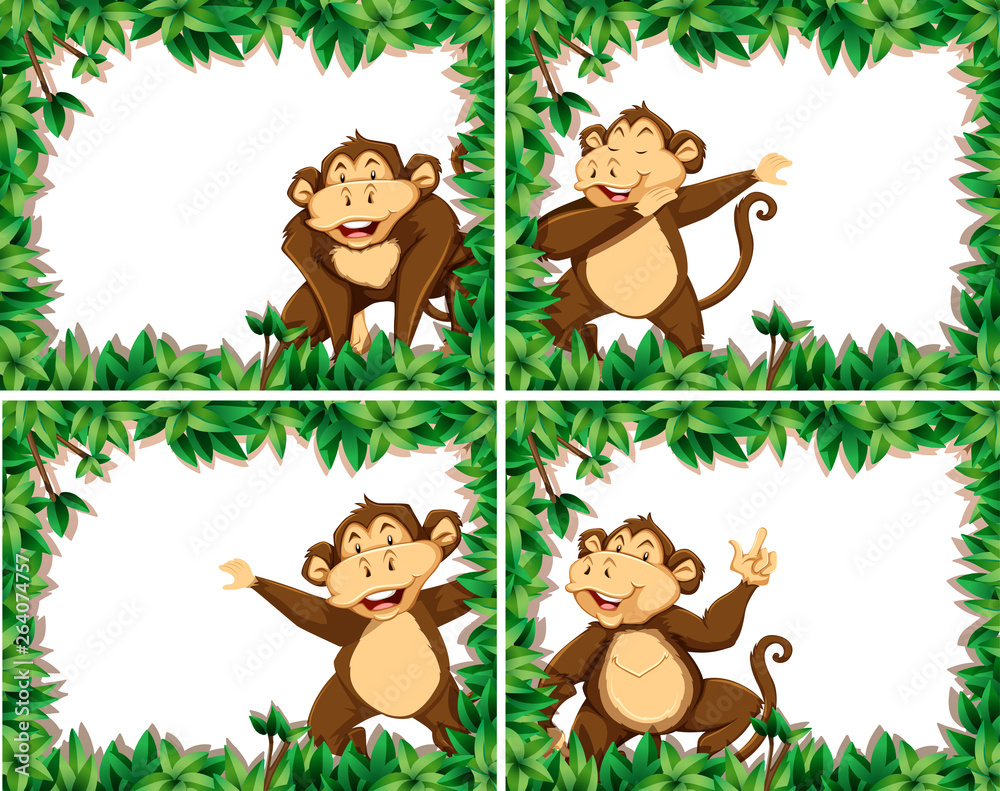 一组猴子在自然框架中