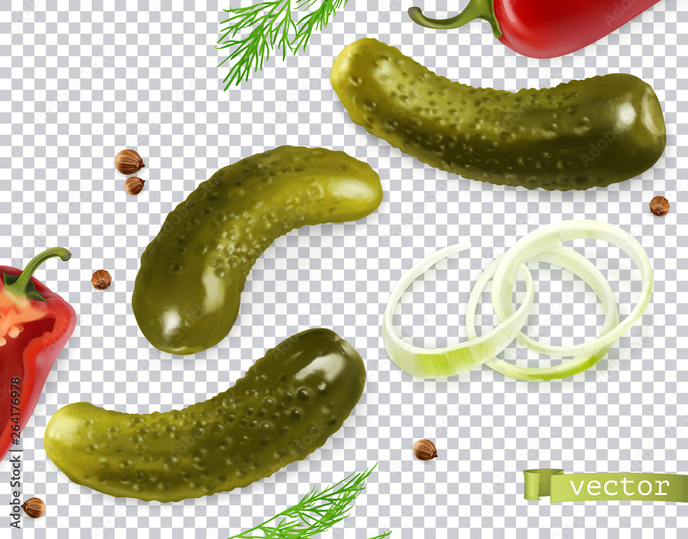 Исходные имена: Pickled cucumbers. Gherkin, dill, pepper, onion, coriander seeds. 3d vector realisti