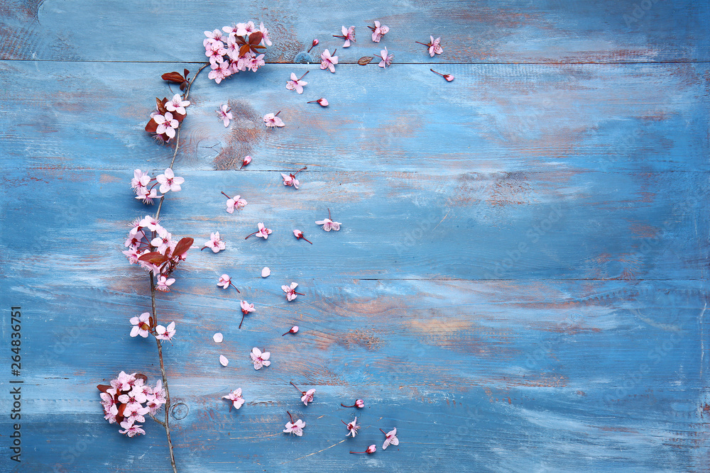 Beautiful blossoming branch on color wooden background