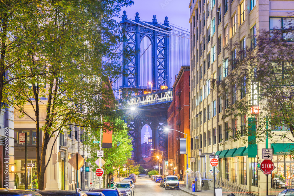 Brooklyn, New York, USA cityscape with Manhattan Bridge