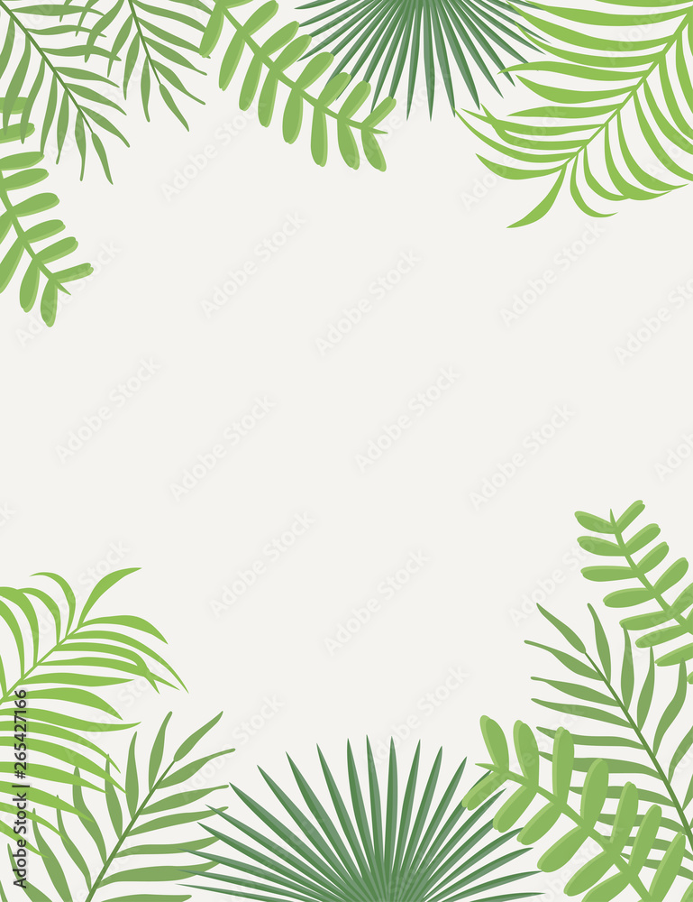 热带框架绿色叶子白色背景