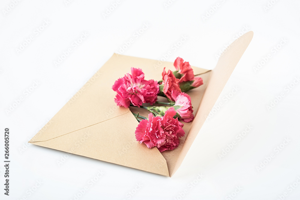 Mothers Day wishes greeting card and carnation flowers