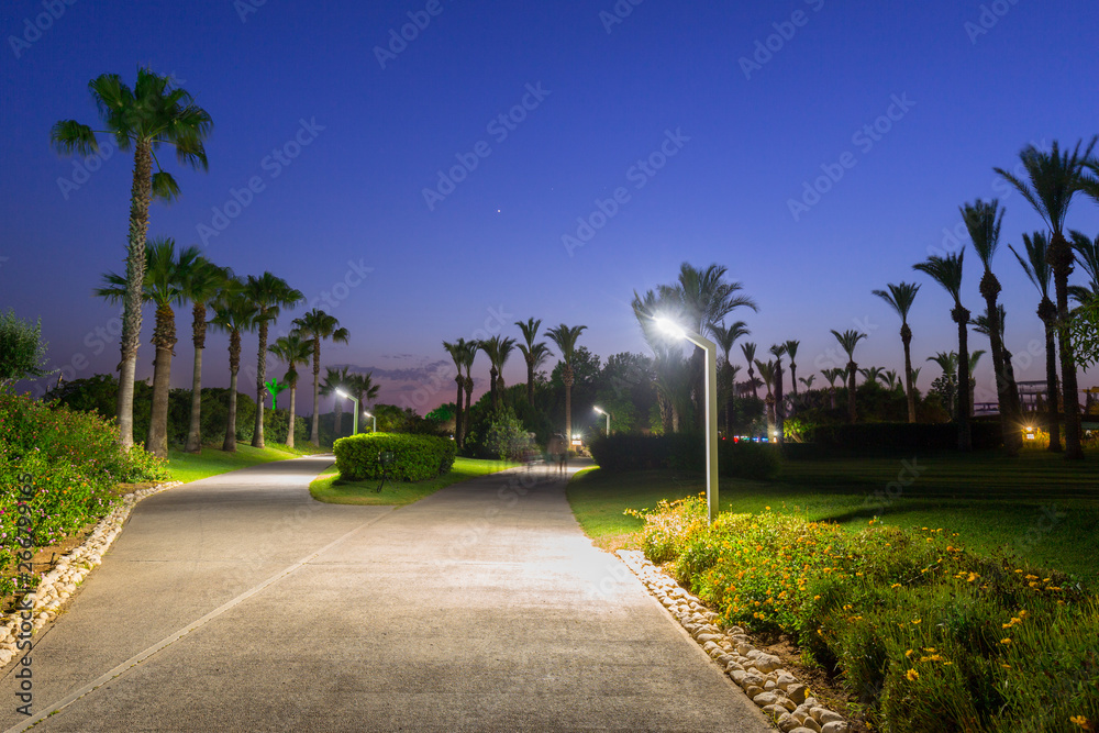 Beautiful pathway with palm trees at the beach of Turkey