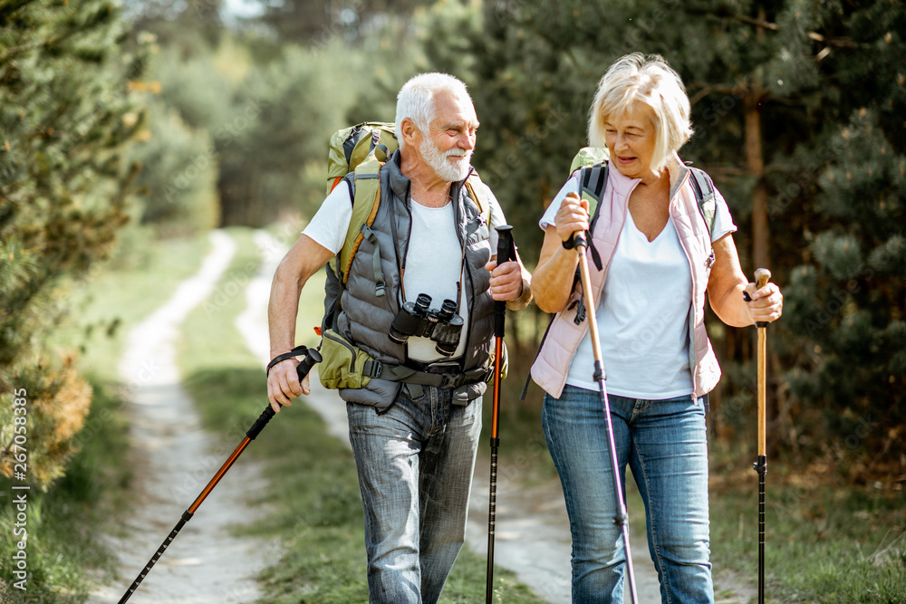 快乐的老年夫妇在年轻的松林里用徒步旅行棒和背包徒步旅行。享受自然