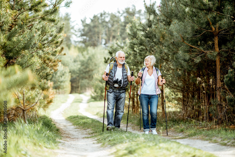 快乐的老年夫妇在年轻的松林里用徒步旅行棒和背包徒步旅行。享受自然