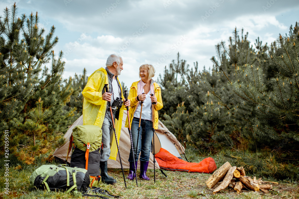 一对穿着黄色雨衣的老年夫妇在露营地，在年轻的松林里有帐篷和壁炉