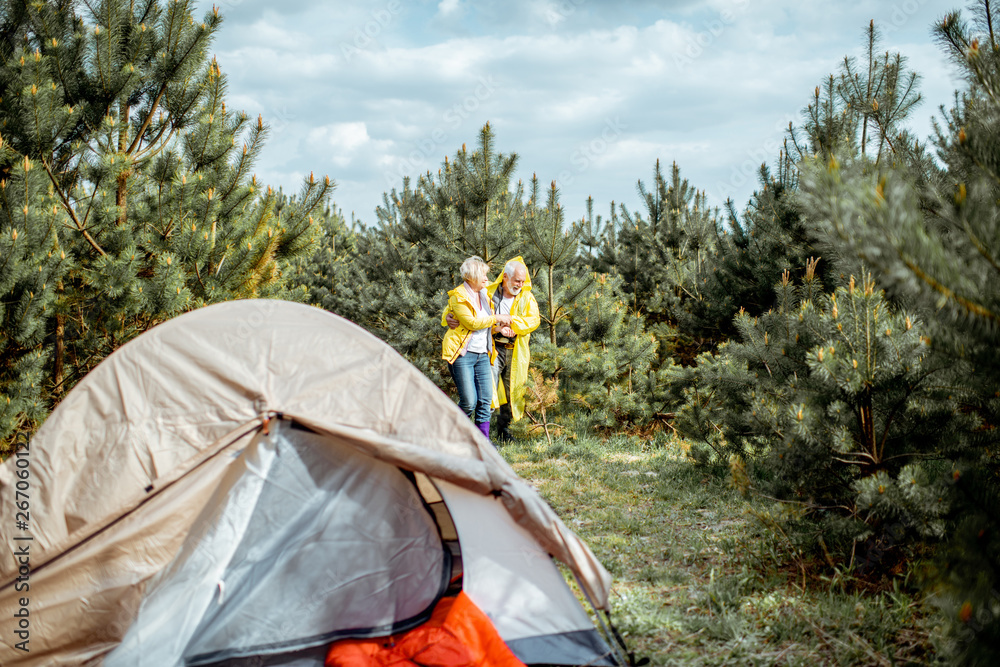 穿着黄色雨衣的老夫妇在年轻松林的露营地