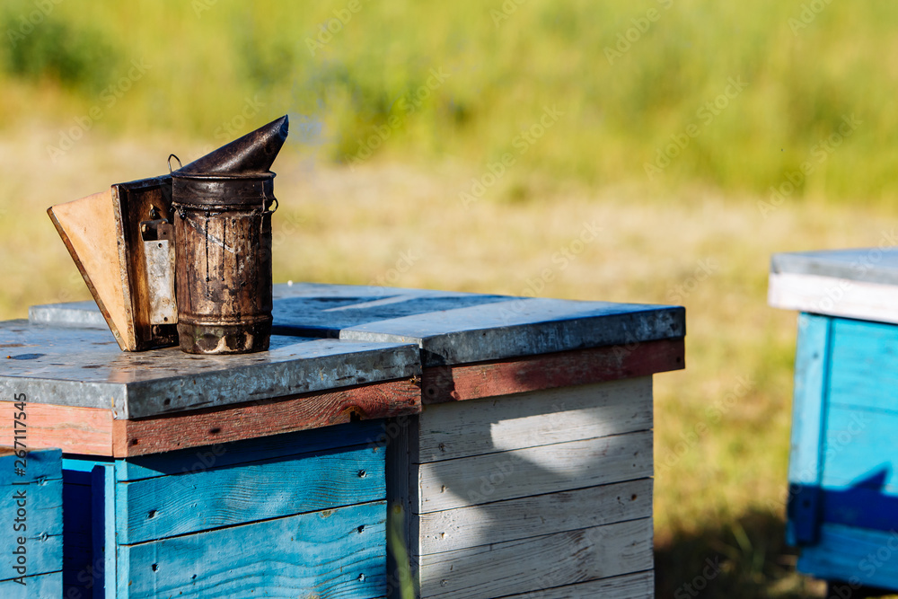A beekeeping basic equipment - bee smoker - on the top of bee hive on a summer day.