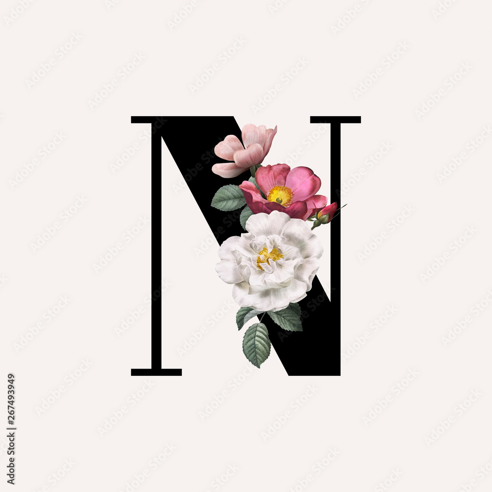 花卉字母N字体