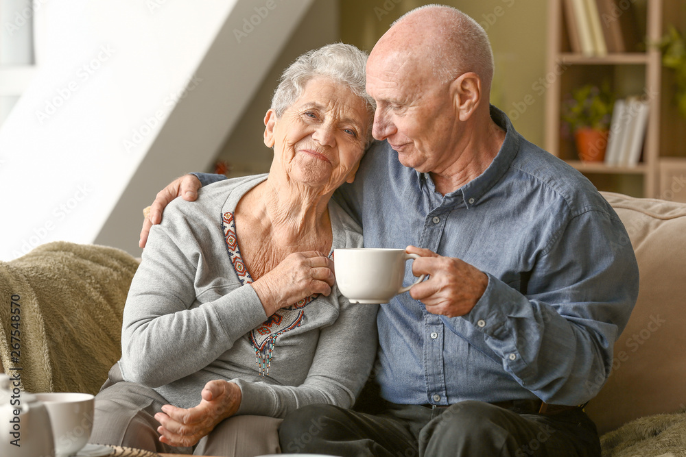 老年夫妇在家喝茶的画像
