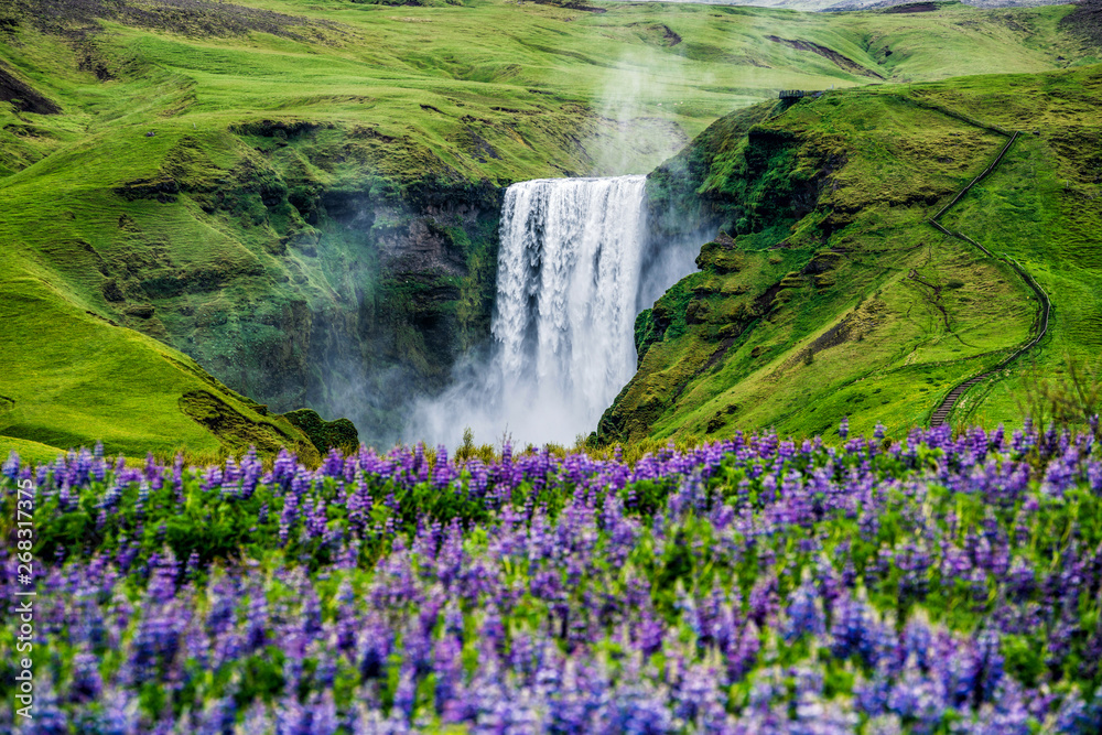 Beautiful scenery of the majestic Skogafoss Waterfall in countryside of Iceland in summer. Skogafoss