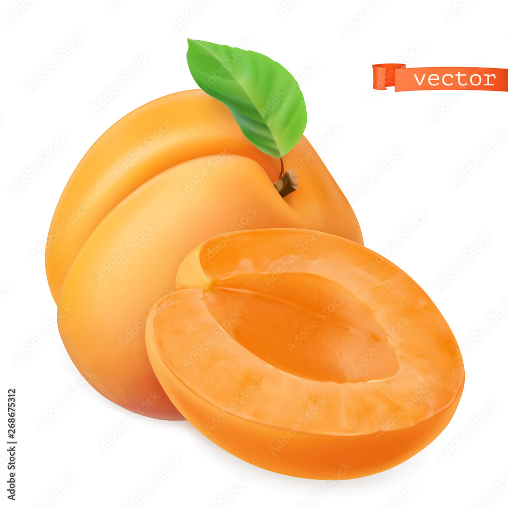 杏子矢量化图像。新鲜水果。三维逼真矢量图标