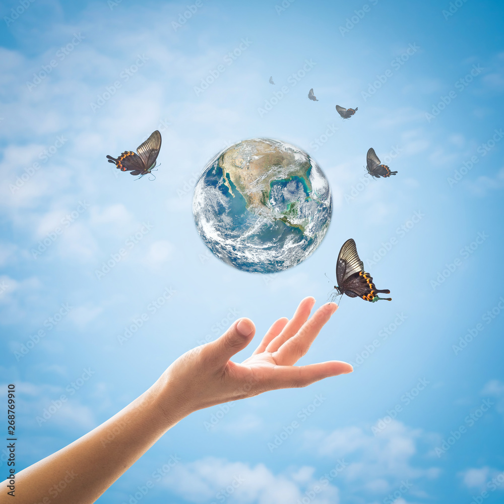世界环境日、生态与臭氧层保护理念，女性手撑地球