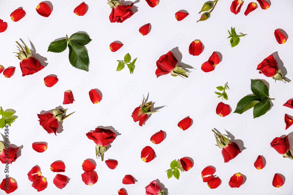白色背景上有红玫瑰、花瓣和叶子的花朵图案
