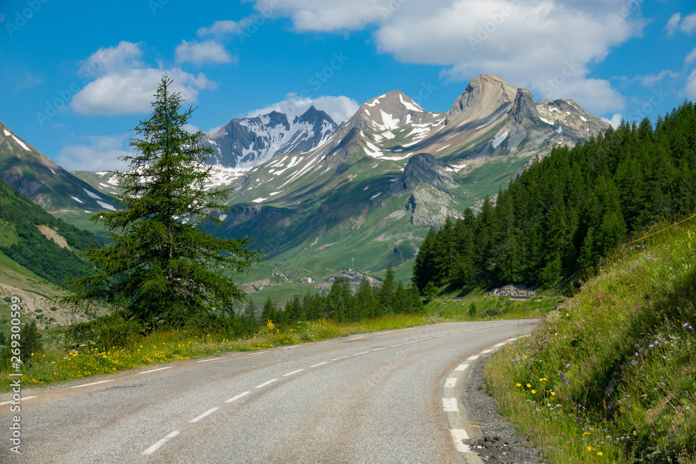 风景优美的山路在风景如画的法国阿尔卑斯山变成了森林。