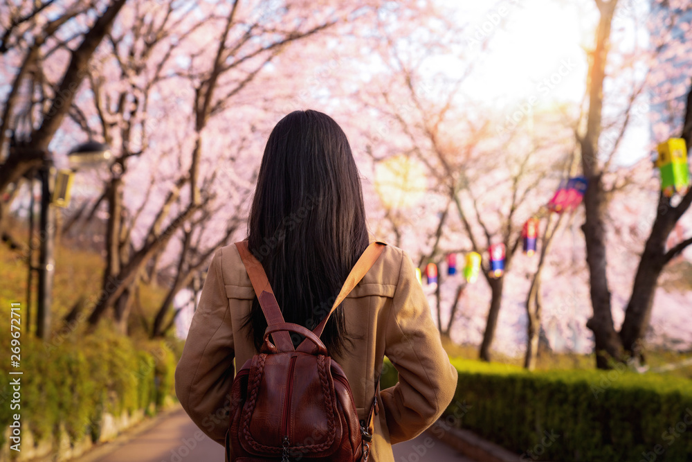 亚洲女士在首尔樱花公园旅行