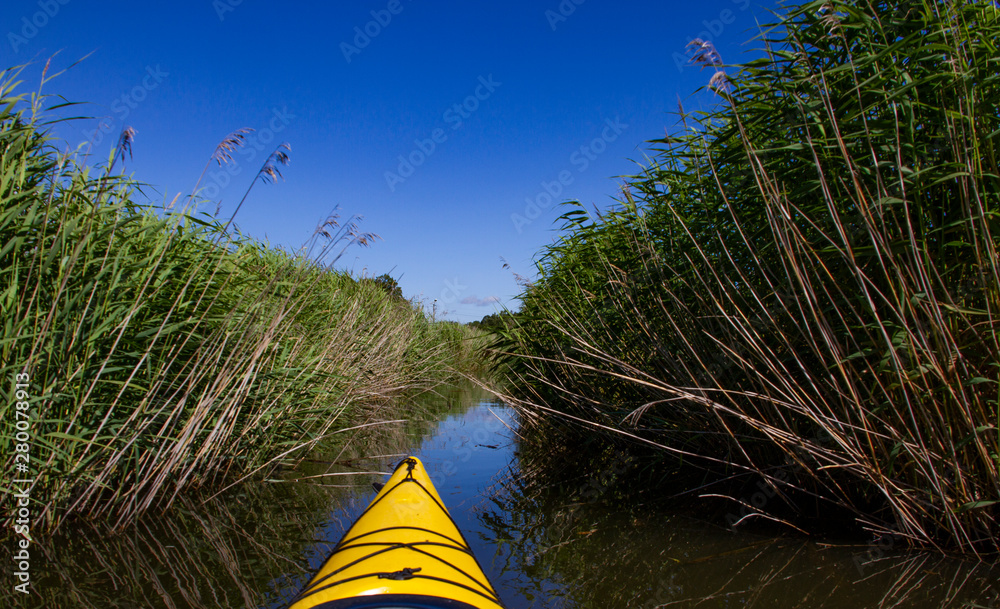 在芦苇环绕的狭窄运河中划桨。